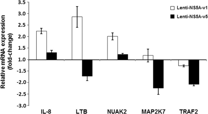 Fig 11