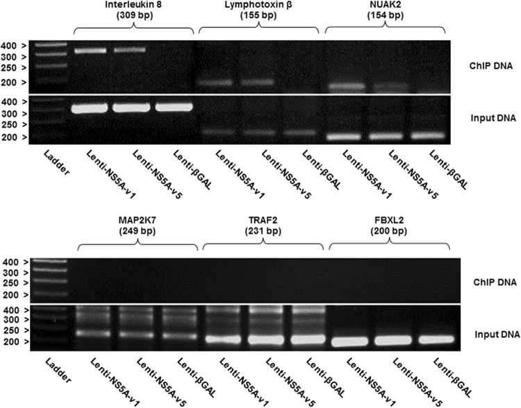 Fig 12