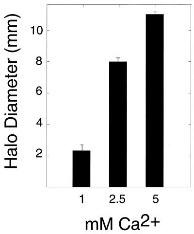 FIG. 5