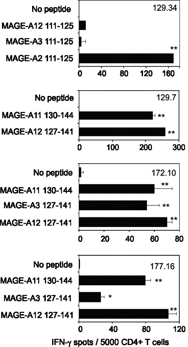 Fig. 4