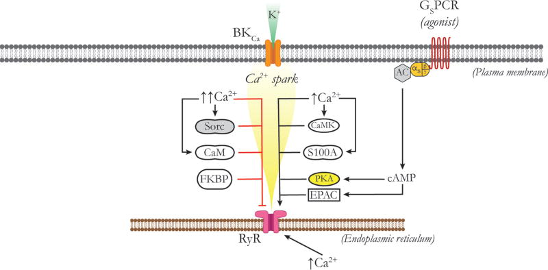 Figure 9