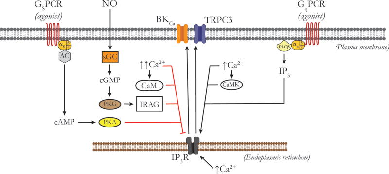 Figure 10