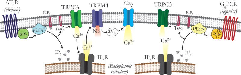 Figure 11