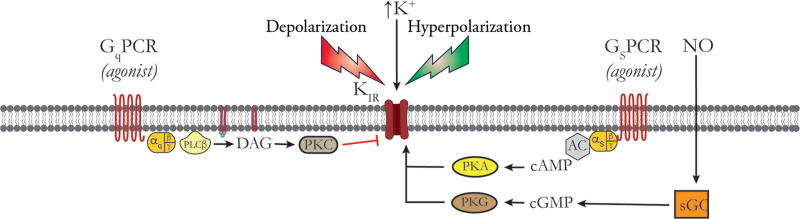 Figure 7