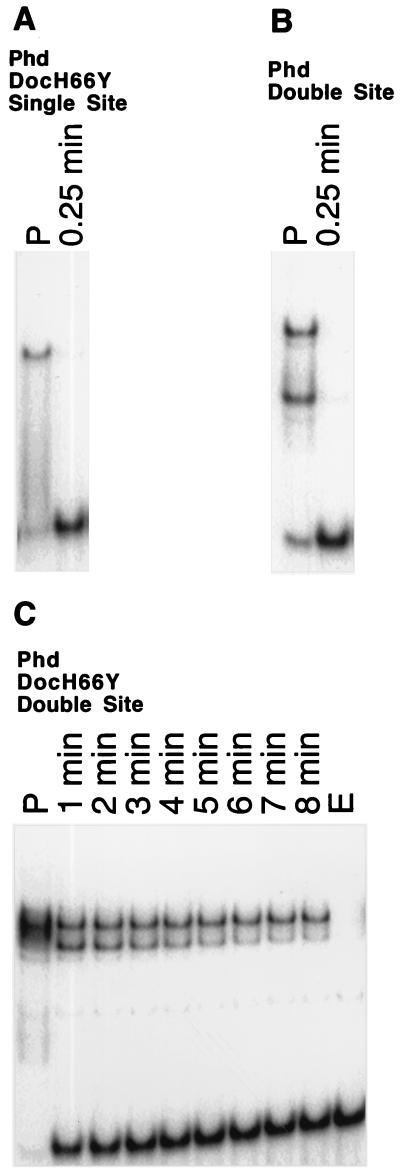 FIG. 5