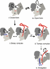 FIGURE 7.