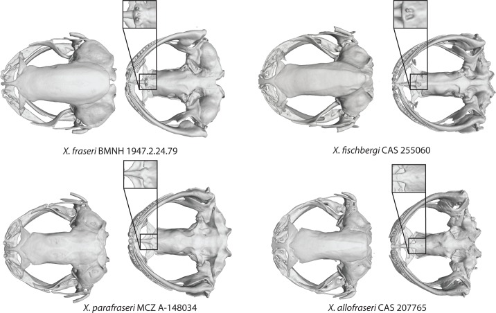 Fig 12