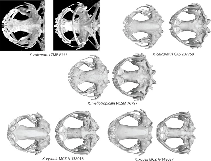 Fig 11