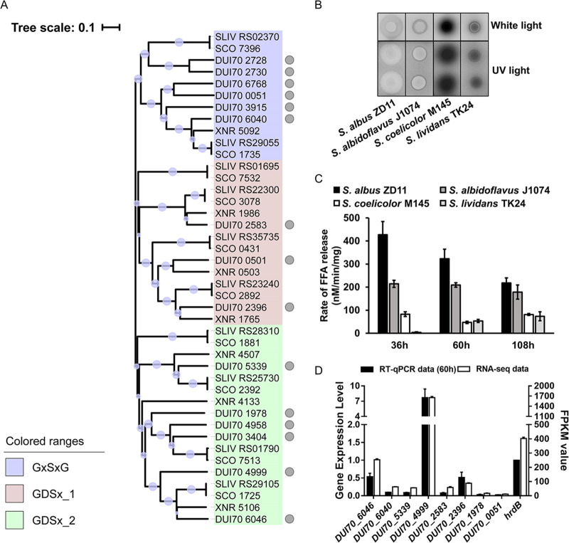 FIG 4