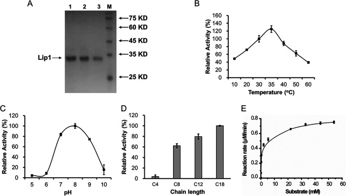 FIG 6