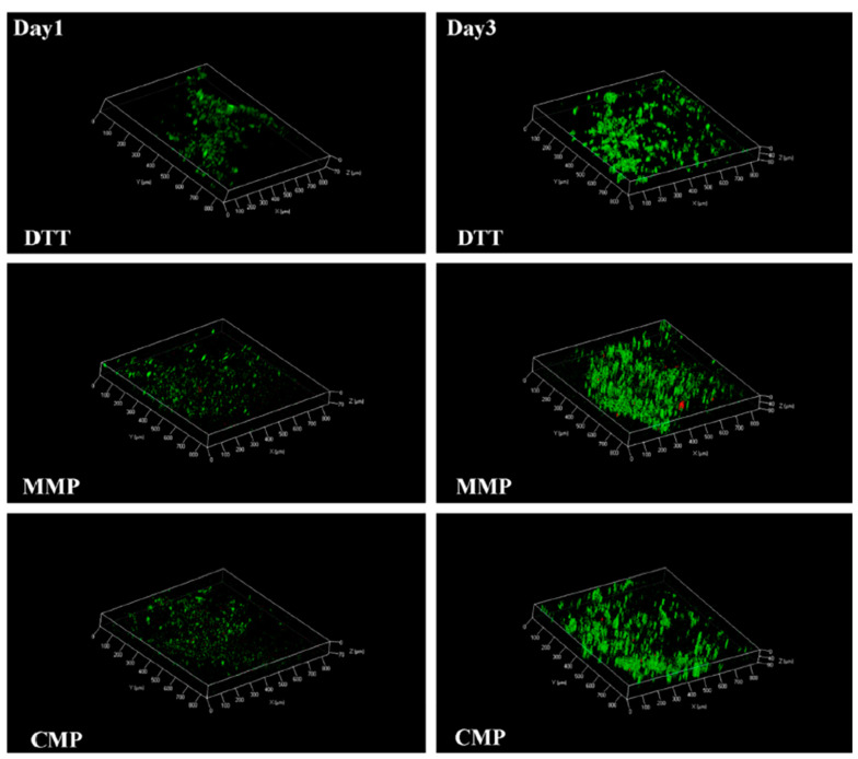 Figure 20