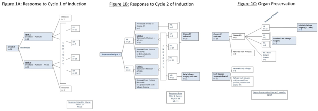 Figure 1: