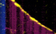 graphic file with name 44318_2024_358_Figb_HTML.jpg