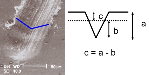 Fig. 6