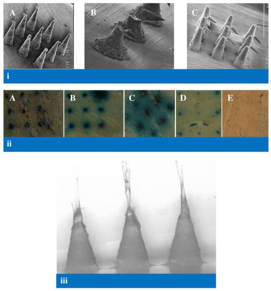 Fig. 10