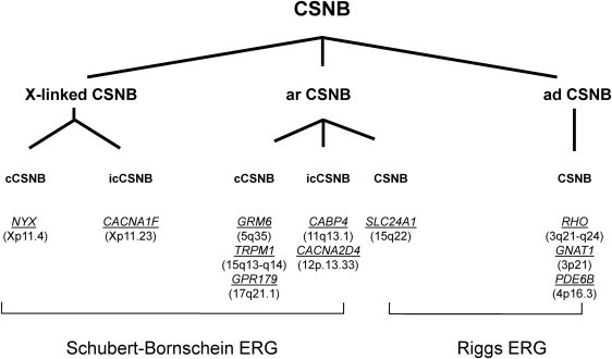 Figure 5