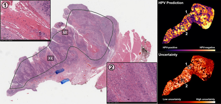 Fig. 13