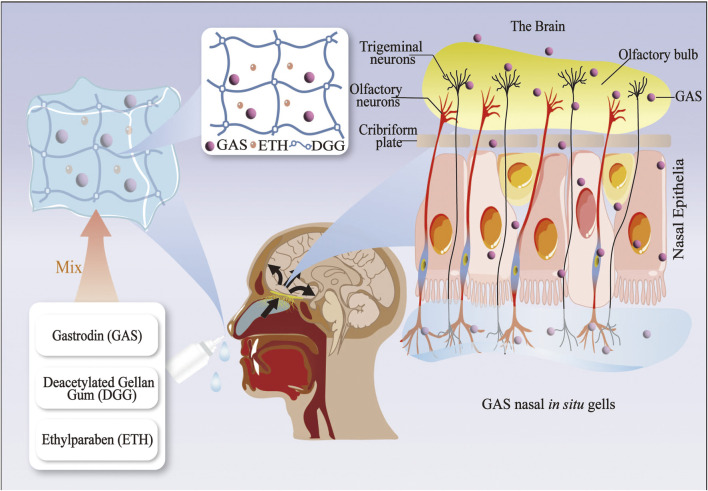 FIGURE 2