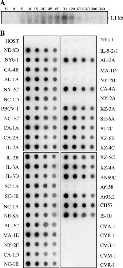 FIG. 6.