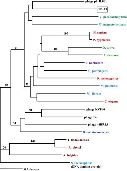 FIG. 7.