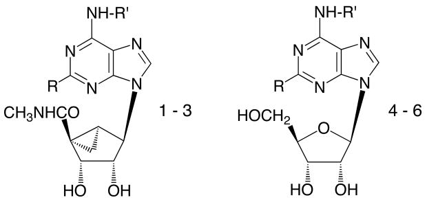 graphic file with name nihms64827f4.jpg