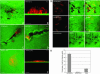 Fig. 3.