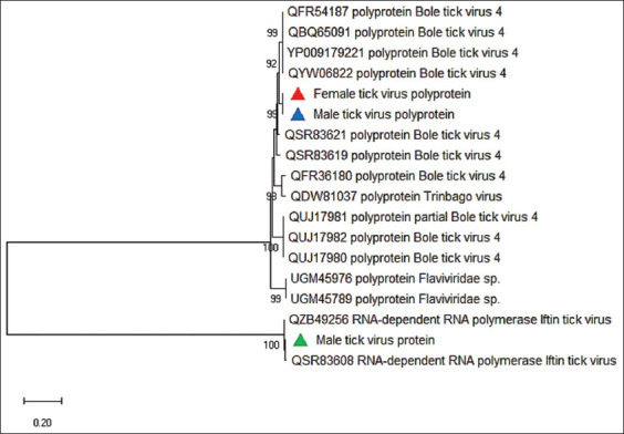 Figure-4