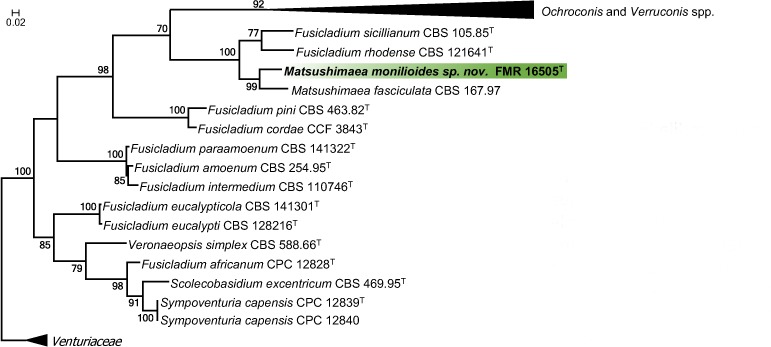 graphic file with name per-40-240-i015.jpg