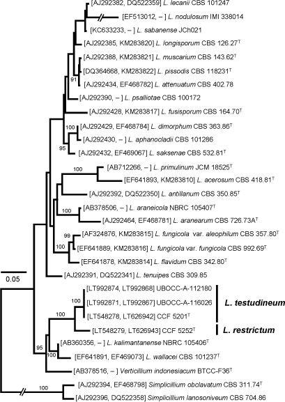 graphic file with name per-40-240-i012.jpg