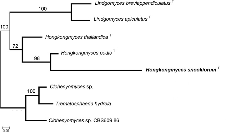 graphic file with name per-40-240-i011.jpg