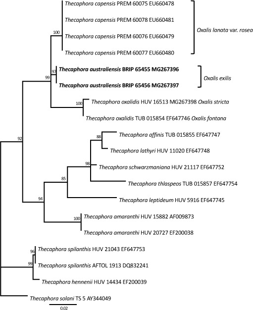 graphic file with name per-40-240-i020.jpg