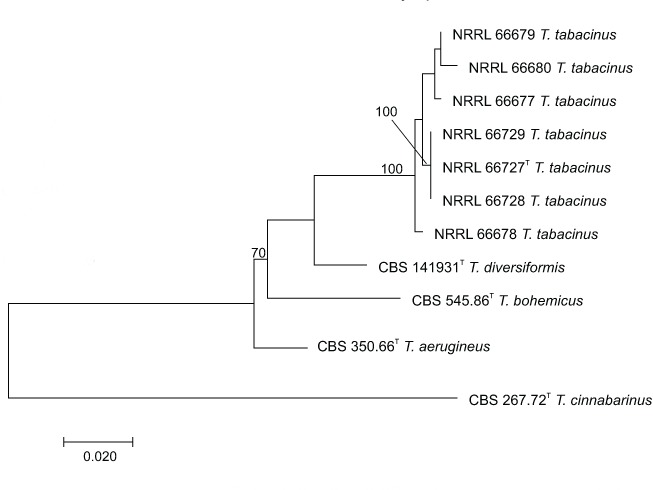 graphic file with name per-40-240-i018.jpg