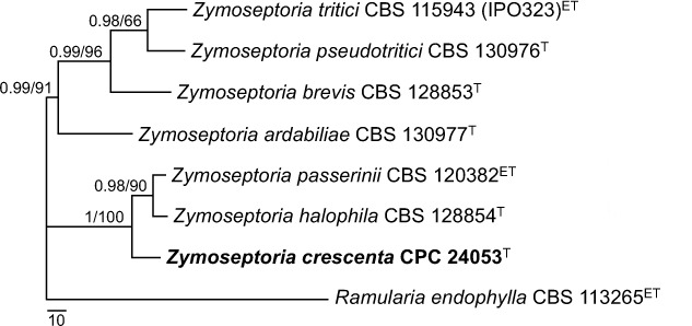 graphic file with name per-40-240-i023.jpg