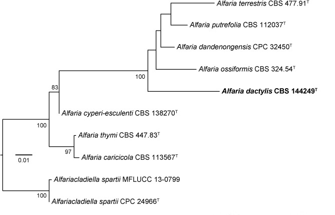 graphic file with name per-40-240-i001.jpg