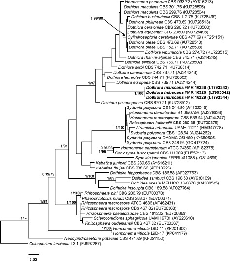 graphic file with name per-40-240-i007.jpg