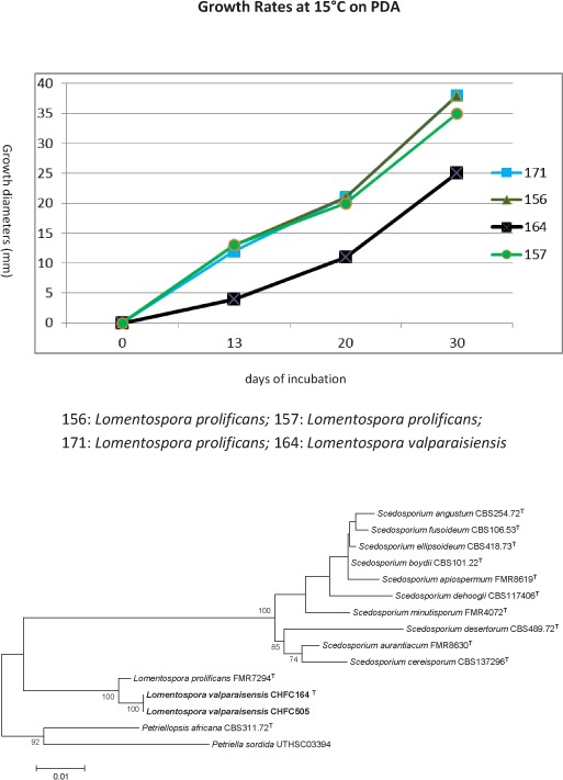 graphic file with name per-40-240-i014.jpg