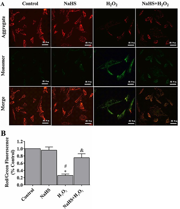 Figure 3.