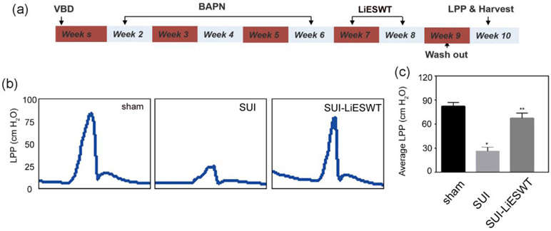 Delayed Treatment with Low-Intensity Extracorporeal Shock Wave Therapy ...