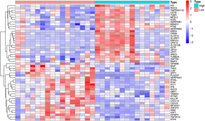 FIGURE 3