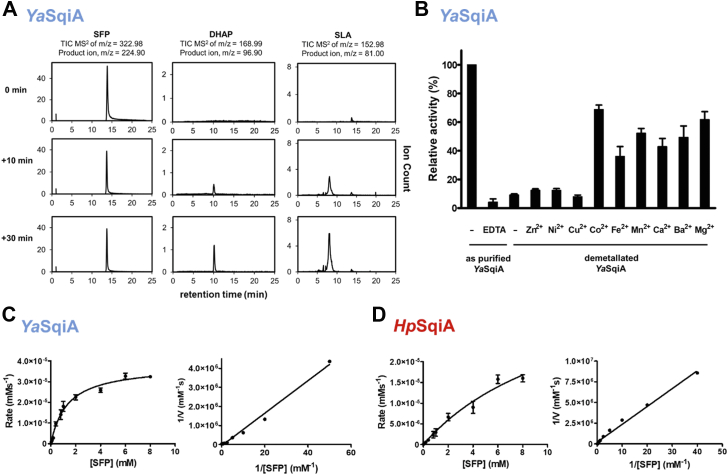 Figure 2