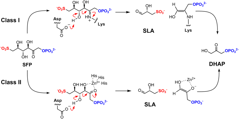 Figure 7