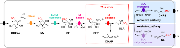 Figure 1