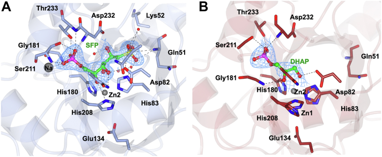 Figure 4