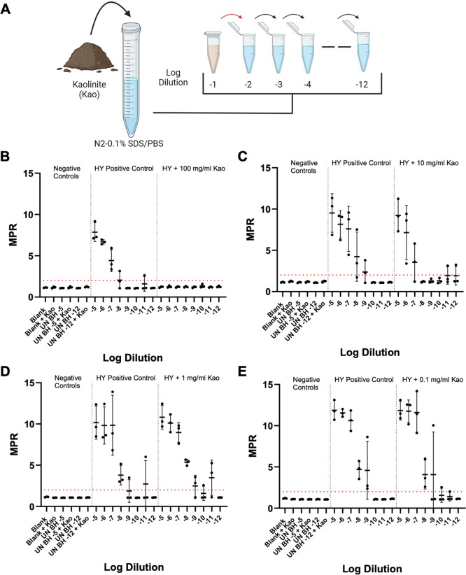 Workflow for kaolinite contamination on detection of serial log dilutions of HY from -1 to -12. Mean log reduction graphs for HY across different dilutions of kaolinite.