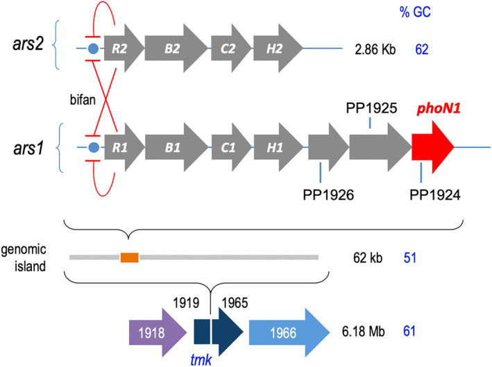 FIGURE 1