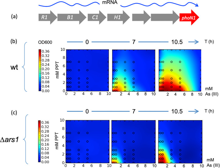 FIGURE 3