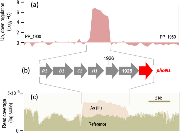 FIGURE 2