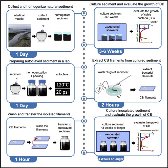 graphic file with name fx1.jpg