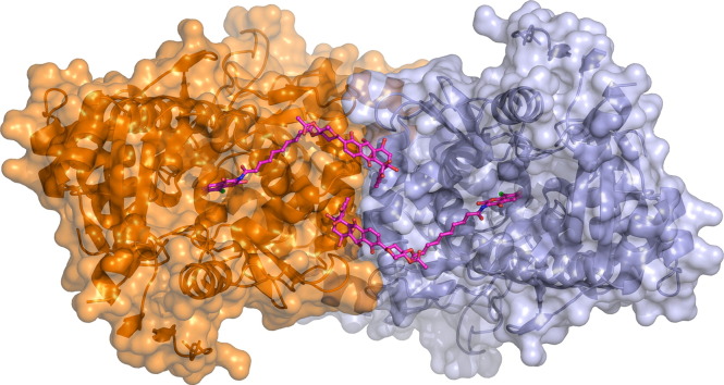 graphic file with name fx1.jpg