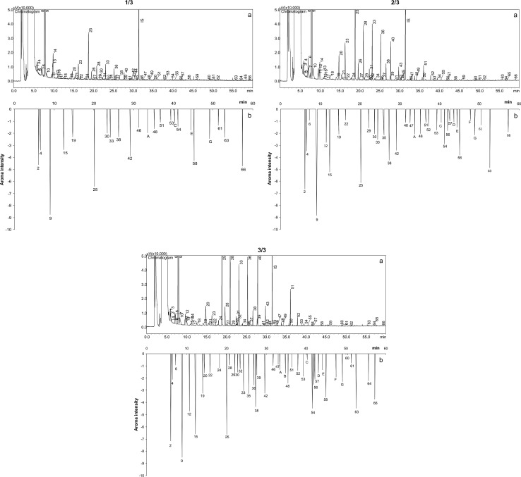 Fig. 1